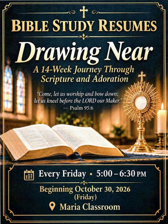 bible study26