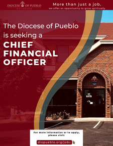 cfo job posting ad